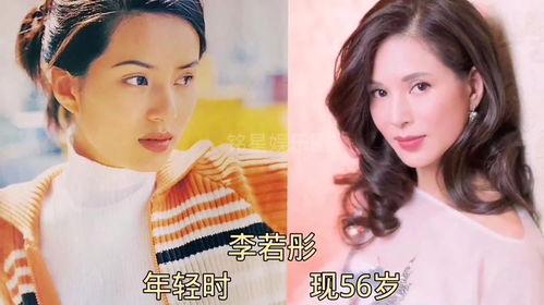 娱乐圈明星主动爆料,揭秘明星圈层真实生活  第3张