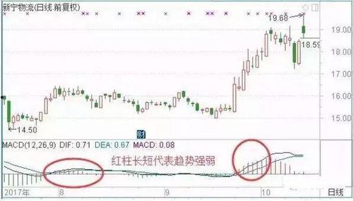 蘑菇黑料爆料事件视频,揭秘网络舆论背后的真相  第2张